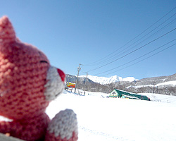d0050155_22331328.jpg