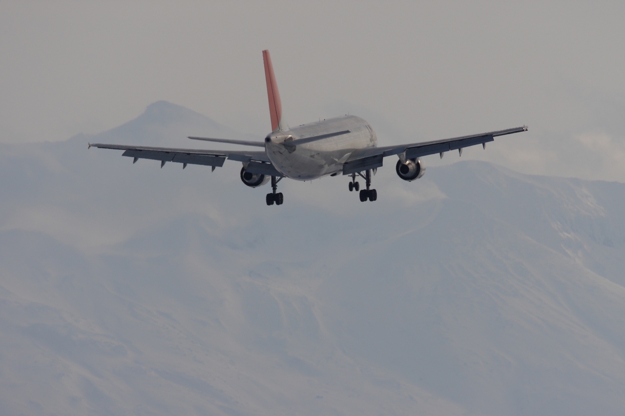 e0104755_9542097.jpg