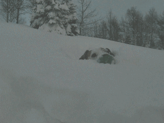 b0105157_1912684.gif