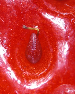 e0035757_0143988.jpg