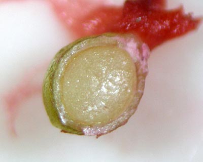 e0035757_0145530.jpg