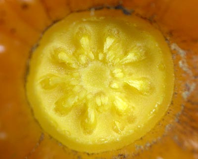 e0035757_0152559.jpg