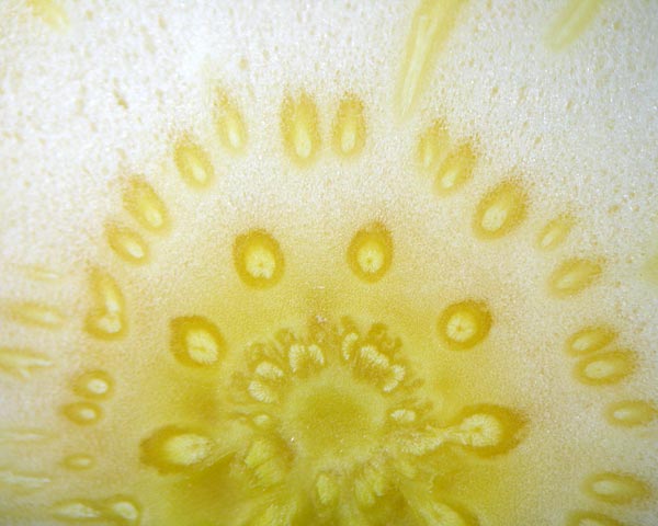 e0035757_0154291.jpg
