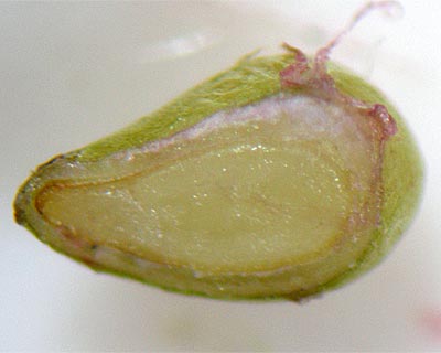 e0035757_015752.jpg
