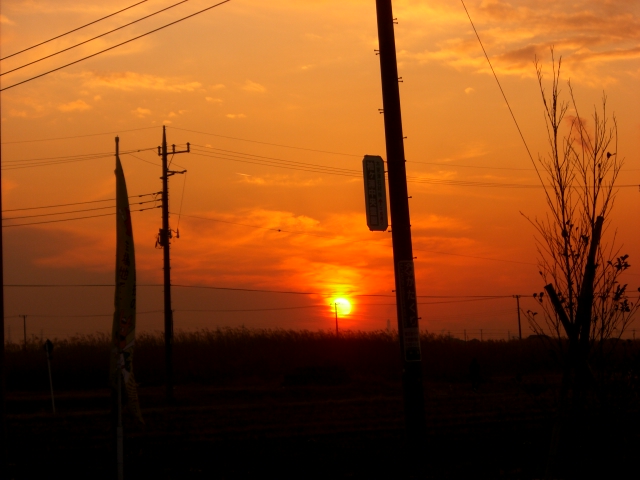 f0000262_2315410.jpg