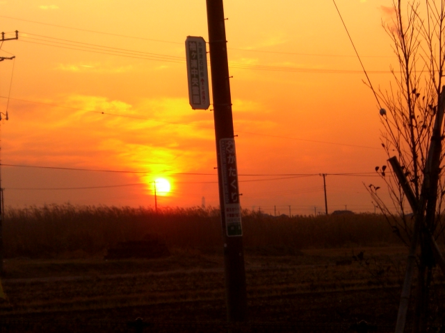 f0000262_2321616.jpg