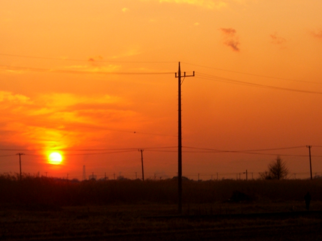 f0000262_2325154.jpg