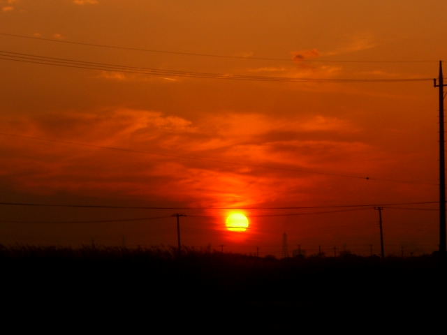 f0000262_2331461.jpg