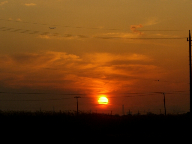 f0000262_234563.jpg