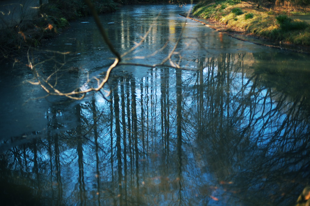 f0171065_049539.jpg