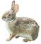 e0173666_22591881.gif