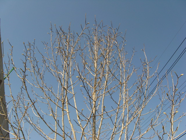 a0114469_18495090.jpg