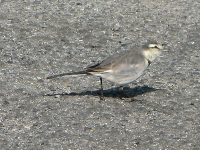 a0114469_18503661.jpg