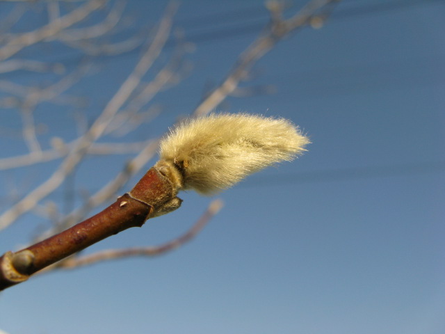 a0114469_1850423.jpg