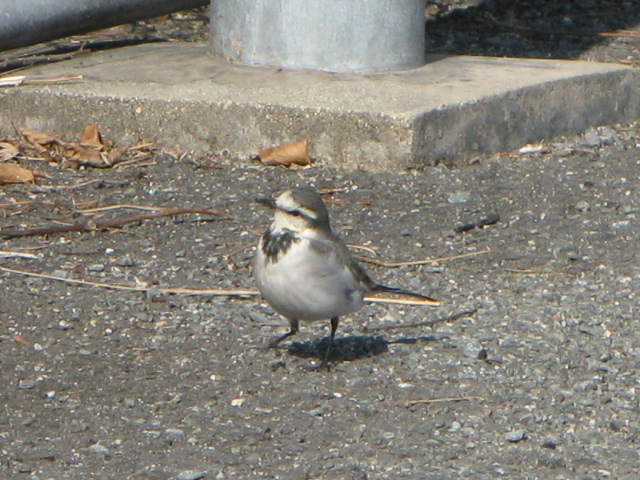 a0114469_18505337.jpg