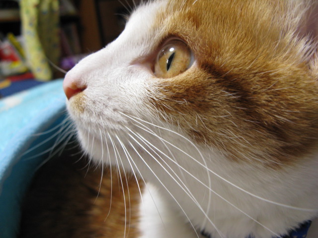 a0114469_18535185.jpg