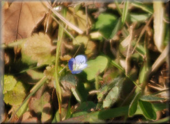 e0099375_200214.jpg