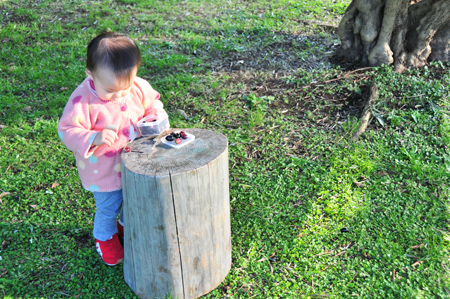 2009年　11月23日　夢の島　熱帯植物園へ_c0004078_13572967.jpg