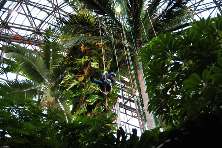 2009年　11月23日　夢の島　熱帯植物園へ_c0004078_13595249.jpg