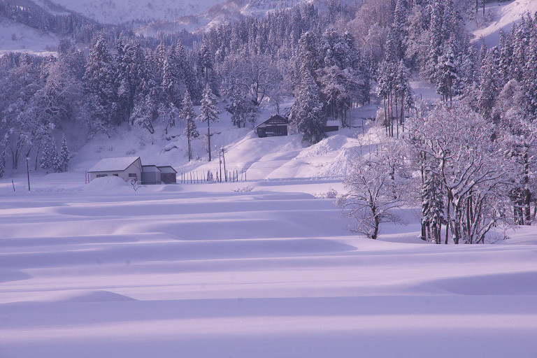 2009.01.10 松之山冬景色・鳥追い行事_f0190989_13134370.jpg