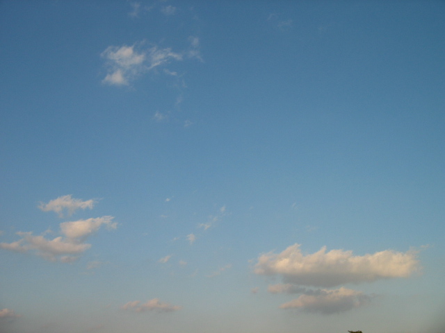 f0143299_372262.jpg