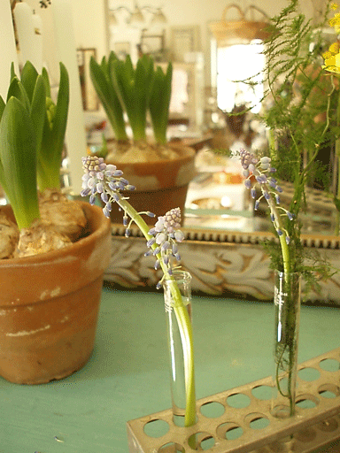 c0129702_22594741.gif