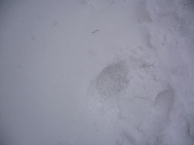 e0039206_0514379.jpg