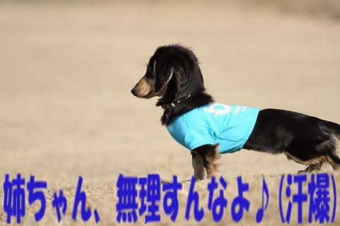 e0100007_21543769.jpg