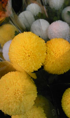 c0213817_13473288.jpg