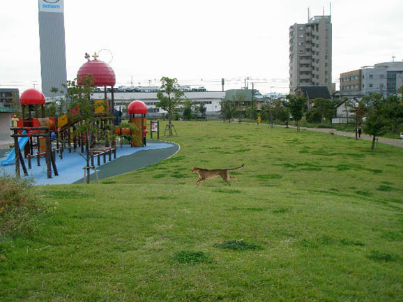 c0083518_2350216.jpg