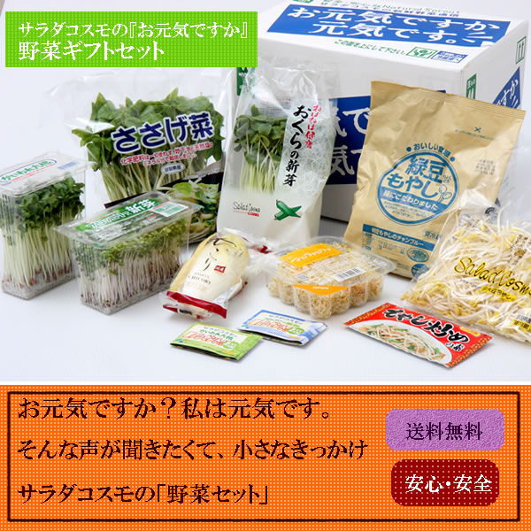♪新鮮 発芽野菜通信『大寒ですが・・・』♪_d0063218_9475825.jpg