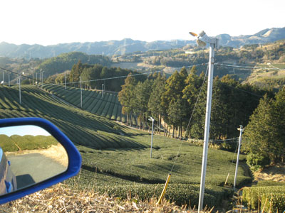 f0064818_19435045.jpg