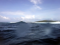 気分は上向き_a0043520_0381375.jpg