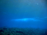 気分は上向き_a0043520_041343.jpg