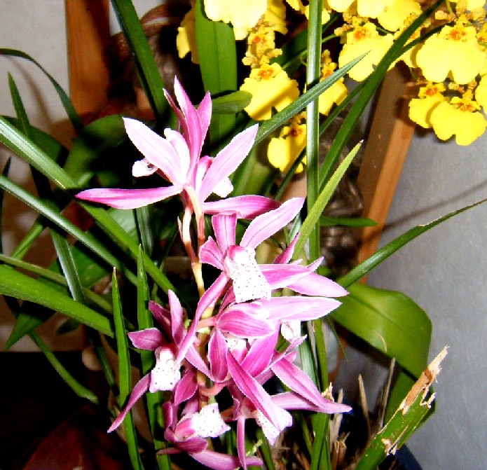 a0108328_2355051.jpg