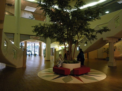 d0086228_11483661.jpg