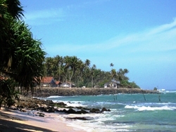 shining island　『　Sri Lanka　』_a0158938_22582640.jpg