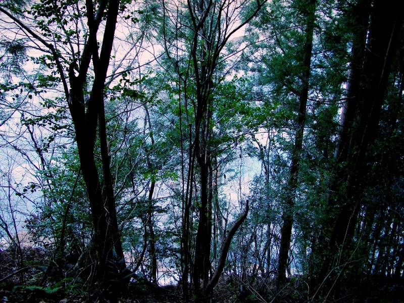 c0101739_21619.jpg