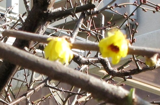 e0172840_1334571.jpg