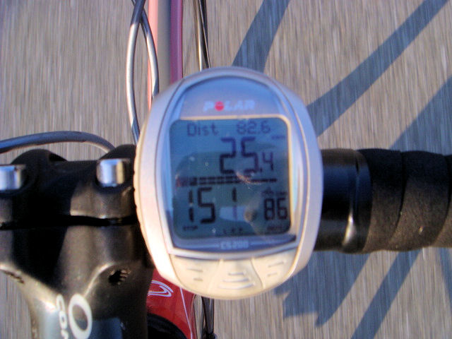 クリスマス・・・なのに　Beyond The Sea(笑)　その７_b0136045_119305.jpg