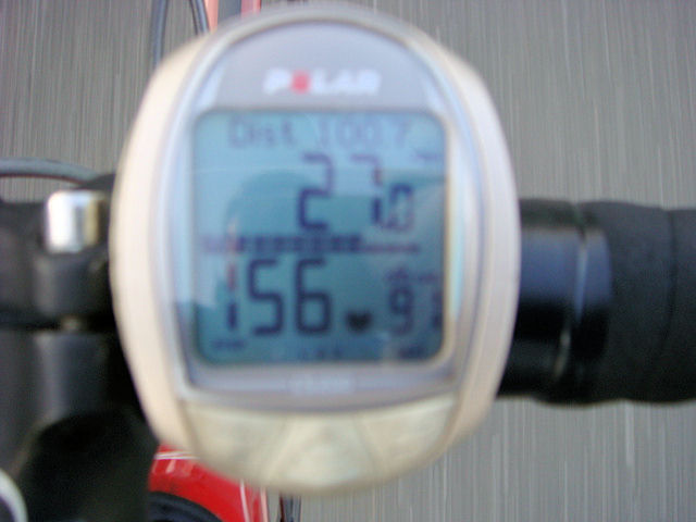 クリスマス・・・なのに　Beyond The Sea(笑)　その７_b0136045_221238.jpg