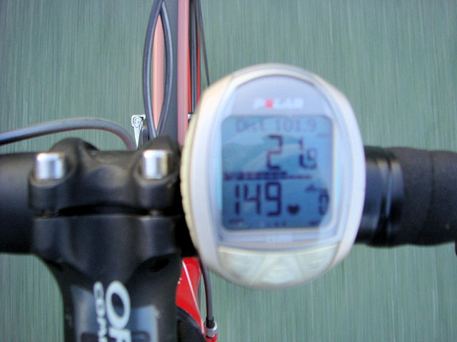 クリスマス・・・なのに　Beyond The Sea(笑)　その７_b0136045_2543423.jpg