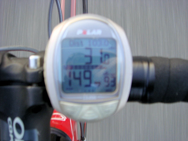 クリスマス・・・なのに　Beyond The Sea(笑)　その７_b0136045_2563097.jpg