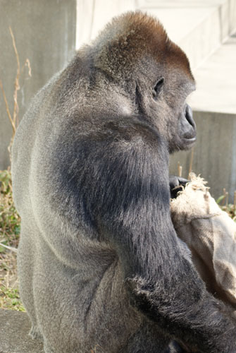 e0191056_3103770.jpg