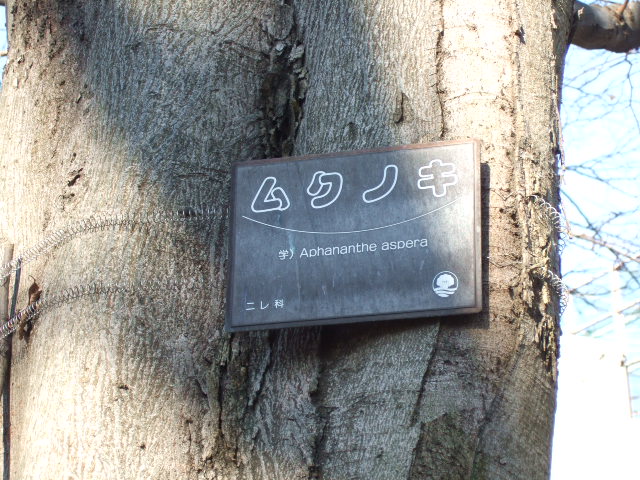 横綱町公園_e0009760_1361448.jpg