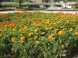 a0093965_20293682.jpg