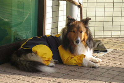 打ち合わせ_b0142265_5482032.jpg