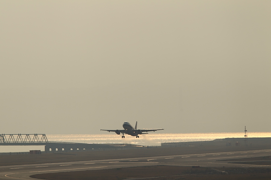 またまた関空！_a0117972_20511810.jpg