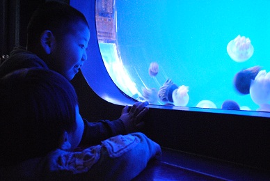 須磨海浜水族園_a0163282_21574575.jpg