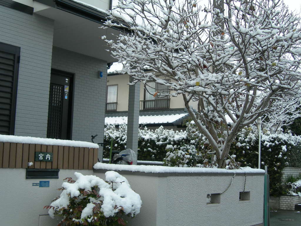 f0059487_15204317.jpg
